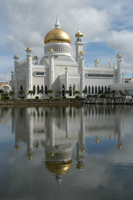 DSC_3231.JPG